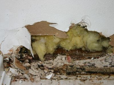 About water damage restoration service - burst pipe water damage experts in Naperville